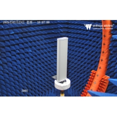 LoRaWAN 5G с несколькими антеннами